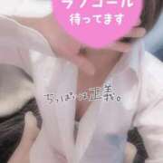 ヒメ日記 2026/04/10 19:45 投稿 ちさと 大高・大府市・東海市ちゃんこ