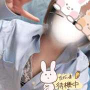 ヒメ日記 2026/04/11 12:23 投稿 ちさと 大高・大府市・東海市ちゃんこ