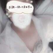 ヒメ日記 2026/04/12 14:16 投稿 ちさと 大高・大府市・東海市ちゃんこ