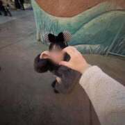 ヒメ日記 2025/11/19 16:31 投稿 ラム Cawaiiハイ！スクールリターンズ