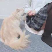 ラム 💧 Cawaiiハイ！スクールリターンズ