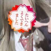 ヒメ日記 2025/10/27 23:29 投稿 ホタテ Cawaiiハイ！スクールリターンズ