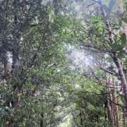 ヒメ日記 2026/02/18 15:02 投稿 ホタテ Cawaiiハイ！スクールリターンズ