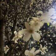 ホタテ ☔️😢 Cawaiiハイ！スクールリターンズ