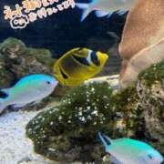 ヒメ日記 2025/12/21 01:03 投稿 江口(えぐち)奥様 金沢の20代30代40代50代が集う人妻倶楽部