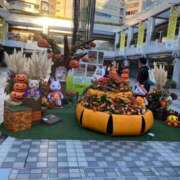 こなん おはようございます 熟女家 十三店