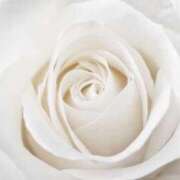 れおな はじめまして🐰 手コキガールズコレクション