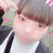 ヒメ日記 2025/12/23 19:33 投稿 つばさ ぽちゃカワ女子専門店 上野御徒町店