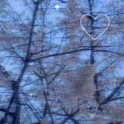 ヒメ日記 2026/04/03 11:00 投稿 つばさ ぽちゃカワ女子専門店 千葉松戸店