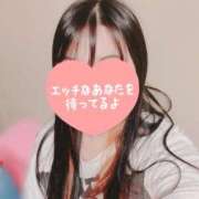 ヒメ日記 2025/12/08 07:48 投稿 しの ニューヨーカー