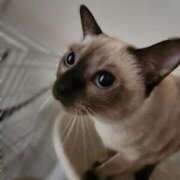 ヒメ日記 2025/11/09 09:29 投稿 まどか 横浜Cute