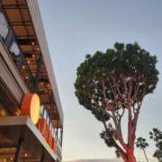 まどか 出勤中🍀.⋆ 横浜Cute