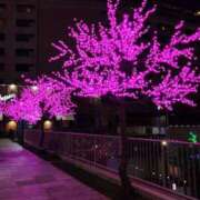 まどか ありがとう🍀.⋆ 横浜Cute