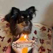 ヒメ日記 2026/04/07 22:46 投稿 もも with SPA (ウィズスパ)