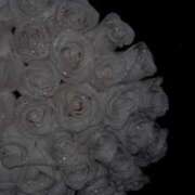 あゆ・SP 明日も…？💕 やまとなでしこ桜組