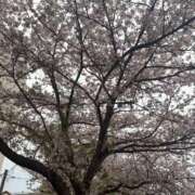 ヒメ日記 2026/04/09 08:12 投稿 そら with SPA (ウィズスパ)