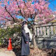 ヒメ日記 2025/11/24 21:56 投稿 しほ ジュリアングループ八王子店