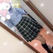 ヒメ日記 2026/01/08 12:20 投稿 ココア 石庭