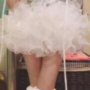 ヒメ日記 2026/01/19 10:11 投稿 ココア 石庭