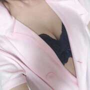 ココア おはようございます☀️ 石庭