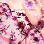 ヒメ日記 2025/12/12 02:13 投稿 西口たえ 大阪ぽっちゃり妻