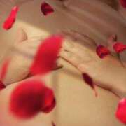 ヒメ日記 2026/02/13 15:03 投稿 西口たえ 大阪ぽっちゃり妻