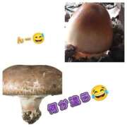 ヒメ日記 2025/11/27 23:02 投稿 高瀬（たかせ） 熟女の風俗最終章 名古屋店