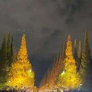 ヒメ日記 2025/11/23 21:05 投稿 しほ 素人美少女専門　新横浜アンジェリーク（アンジェリークグループ）