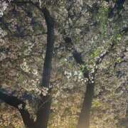 しほ 3時まで〜 素人美少女専門　新横浜アンジェリーク（アンジェリークグループ）