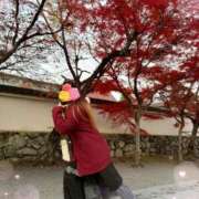 ヒメ日記 2025/11/30 14:48 投稿 麻倉　めぐみ Amateras～アマテラス～