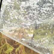 ヒメ日記 2025/12/08 11:03 投稿 菜々子 出会い系人妻ネットワーク札幌駅～大通り・すすきの編