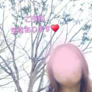 ヒメ日記 2026/04/07 10:42 投稿 菜々子 出会い系人妻ネットワーク札幌駅～大通り・すすきの編