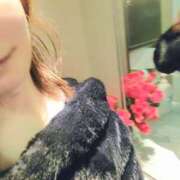 ヒメ日記 2026/04/11 09:49 投稿 菜々子 出会い系人妻ネットワーク札幌駅～大通り・すすきの編