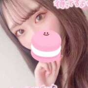 ヒメ日記 2025/12/19 14:14 投稿 高森ひめの ブルーバード