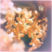 ヒメ日記 2025/10/30 23:00 投稿 ももか 福盛