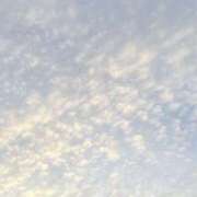 ヒメ日記 2025/11/07 08:04 投稿 ももか 福盛