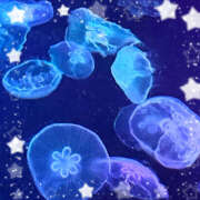 ヒメ日記 2025/11/11 11:32 投稿 ももか 福盛