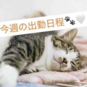 ヒメ日記 2025/12/16 11:06 投稿 【ミオ】11月1日体験です。 マネキン 名駅店