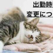 ヒメ日記 2025/12/19 12:06 投稿 【ミオ】11月1日体験です。 マネキン 名駅店