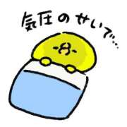 ヒメ日記 2026/09/05 08:43 投稿 さえこ 木更津人妻花壇