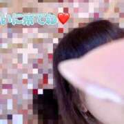 ヒメ日記 2025/11/17 11:01 投稿 ちはや マリン土浦本店