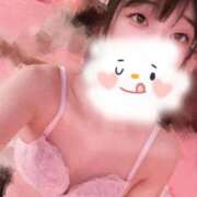 ヒメ日記 2025/11/20 10:02 投稿 ちはや マリン土浦本店