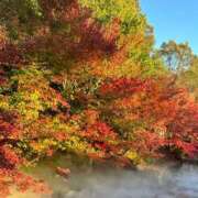 ヒメ日記 2025/11/30 20:12 投稿 かえで プラチナ