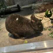 ヒメ日記 2026/04/10 13:10 投稿 ♡メア♡ ラブ♡エル