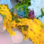 ヒメ日記 2026/03/30 21:04 投稿 ともみ 完熟ばなな梅田