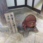 ヒメ日記 2025/11/21 09:12 投稿 山咲琴美 熟女パラダイス京都店（カサブランカグループ）