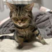 美咲みおん 猫好きに悪い人はいない説 ラブアイドル