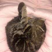 ヒメ日記 2026/04/02 12:05 投稿 美咲みおん ラブアイドル