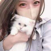 ヒメ日記 2026/04/05 00:27 投稿 美咲みおん ラブアイドル