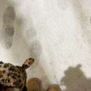 ヒメ日記 2026/01/05 18:00 投稿 みさ 湯房 湯島御殿